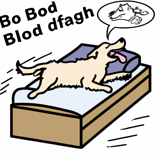 איור המדגים את היתרונות הבריאותיים של מיטת כלב.